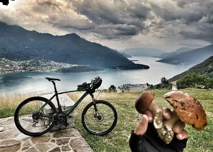 Апартаменты Amazing Terrace On